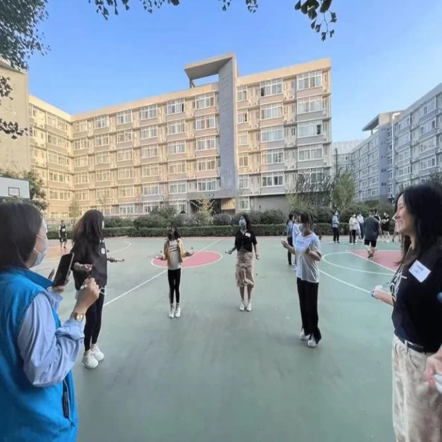 国际赛场第345组最新动态与赛程分析